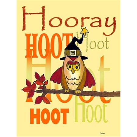 Carolines Treasures Hooray Hoot Hoot Owl Flag Canvas House Size PJC1030CHF